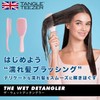 Tangle Teaser The Wet Detangler Dream Black