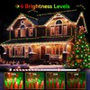 Hezbjiti 2 Pack 1000 LED 403 FT Christmas String Lights