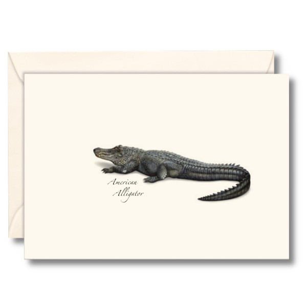 Earth Sky + Water - Alligator Notecard Set - 8