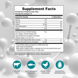 Natures Plus NaturesPlus Collagen Creamer, Vanilla - 0.66 lb Powder - Hair, Skin, Nail & Joint Health, Immune System Support - Non-GMO, Gluten Free - 12 Servings