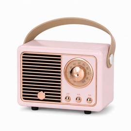 MONTY SOUL Mini Cassa Bluetooth Retrò 5W, Altoparlante Portatile HiFi 360°, Radio FM, Microfono Integrato, Supporto Scheda TF, USB e AUX, Batteria Ricaricabile 400 mAh (HM11) (Rosa)