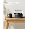 Toptier Teapot with Removable Infuser, Cast Iron Tea Kettle Stovetop