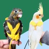 Random Adjustable Parrot Bird Harness Leash Set Anti-bite Training Harness