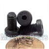 MonsterBolts - #10-32 x 3/8" Low Head Socket Screws, Alloy