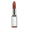 Palladio Herbal Lipstick, Brownie, Rich Pigmented and Creamy Lipstick, Infused