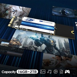 Dogfish SSD M.2 2280 64GB Ngff Internal Solid State Drive High Performance Hard Drive for Desktop Laptop SATA III 6Gb/s SSD (64GB, M.2 2280)