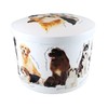 Gardiners of Scotland Gardeners Dog Can, Vanilla Fudge, 7.1 oz