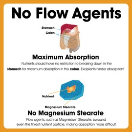 Dr. Clarks Extra Virgin Olive Oil 1/2 Liter