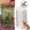 6 Pack Plant Protector from Animals with Lid, 23.15 x
