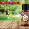 VIDA SCENTS | Aceite Esencial De 10ml 100% Puro Y