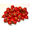 Tomato Cherry Maskotka Cascading Trailing Dwarf Bush Tomato 50+ Seeds