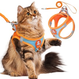 SilverChry Katzengeschirr mit Leine Ausbruchsicher, Katzenleine Set mit Leine, Katzengeschirr Kitten Verstellbar Weich Kätzchenweste mit Reflektierenden Streifen für Katzen und Kleine Hunde (M)