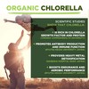 MySuperfoods Organic Chlorella Powder (200g), Natural Source of Protein