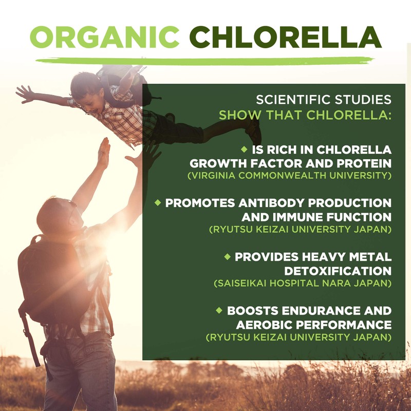 MySuperfoods Organic Chlorella Powder (200g), Natural Source of Protein