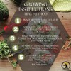 1/2 lbs Protein Bean Sprout Starter Seeds - Over 2000