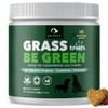 PETPAL Green Grass Supplement Treats for Dogs - Help Against
