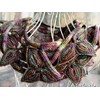 Malabrigo Mechita 890 Mandragora