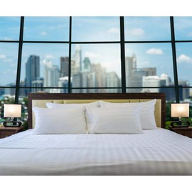 TBM 1PC Striped Flat Sheet Smooth Touch Hotel Quality 100% Egyptian Cotton Perfectly Fit for Oversize and Extra Height Queen Bed 96 Inch x 104 Inch White Stripe 600 Thread Count