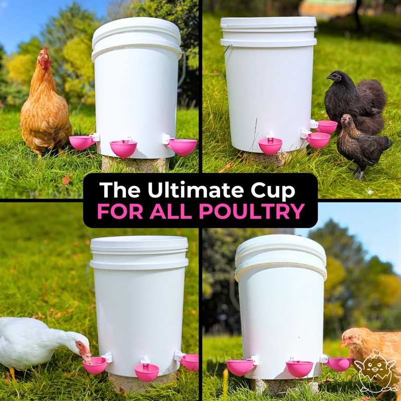 Lil'Clucker - Pink Large Automatic Chicken Waterer Cups Suitable for