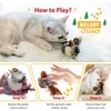 Chirping Bird Cat Toys for Indoor Cats, Flying Bird Cat