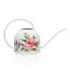 Metal Small Watering Can for Indoor Outdoor Plants, Pretty Water