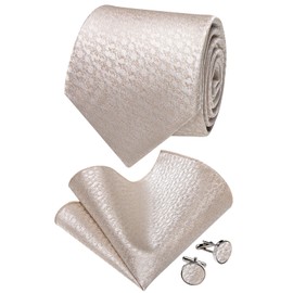 YourTies Men's Tie Champagne Tie and Pocket Square Set Silk Wedding Party NeckTie Business Formal