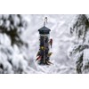 Squirrel Solution200 Squirrel-proof Bird Feeder w/6 Feeding Ports, 3.4-pound Seed