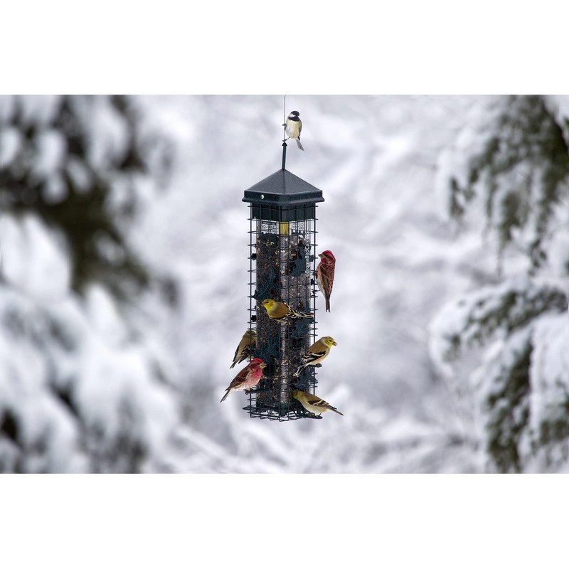 Squirrel Solution200 Squirrel-proof Bird Feeder w/6 Feeding Ports, 3.4-pound Seed