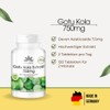Gotu Kola 750 mg - 120 Tablets - High Dose