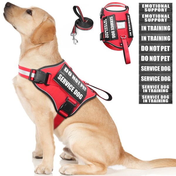 Service Dog Harness and Leash Set, Training Dog Vest with