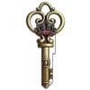 Lucky Line Key Shapes,Medieval SKELETON KEY - House Key Blank,