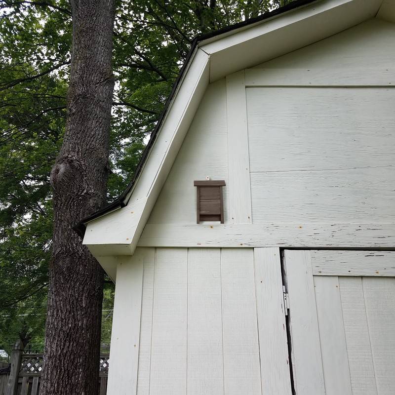 Relaxdays Bat Box, Shelter for Bats, H x W x