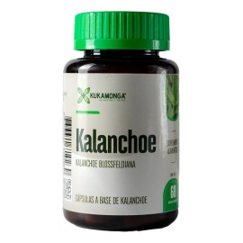 Kalanchoe - 60 Cpsulas Sin Sabor