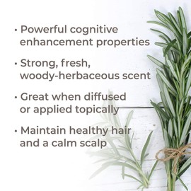 Plant Therapy Organic Rosemary Essential Oil 100% Pure, USDA Certified Organic, Undiluted, Natural Aromatherapy, Therapeutic Grade 10 mL (1/3 oz)