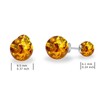 Amber Ball Earring Silver Double Sided Amber Stud Earrings Gift