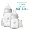 Evenflo Feeding Balance + Wide Neck BPA-Free Silicone Medium Flow