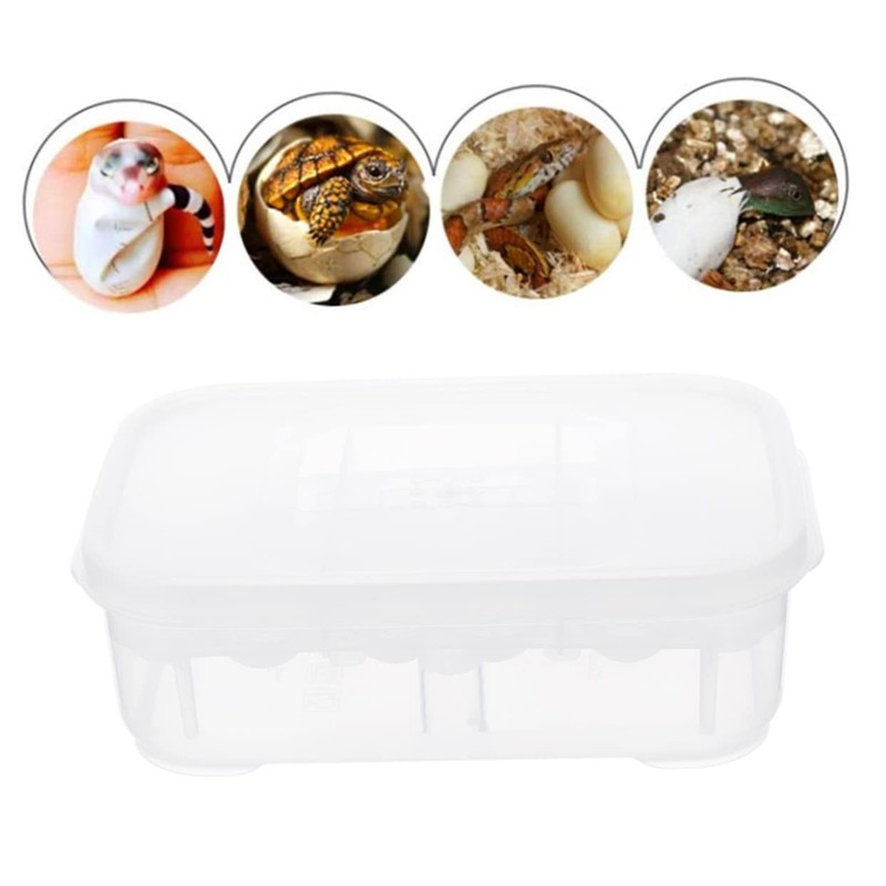 BESPORTBLE Box Reptile Hatching Incubation Box Durable Breeding Container for