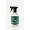 Caldrea Multi-surface Countertop Spray Cleaner, made with birch bark, Orange