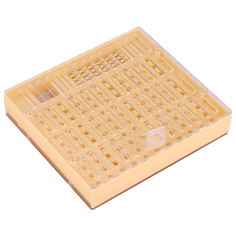 Queen Rearing Cup Kit Bee Cultivating Tool Plastic Beekeeping Box