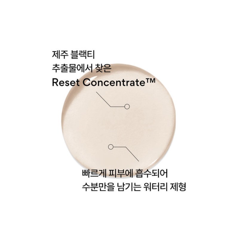 Innisfree 이니스프리 블랙티 유스 인핸싱 스킨 케어 세트 Innisfree Black