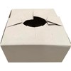 FloraStuff Flower Delivery Boxes – 8 x 8 x 4