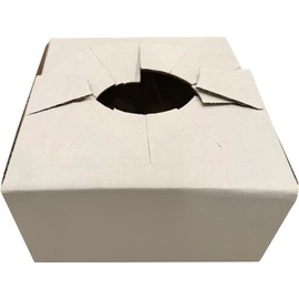 FloraStuff Flower Delivery Boxes – 8 x 8 x 4 Inches Large Cardboard Box – Floral Delivery Boxes For Flower Vase, and Pot – Pack Of 50 Cardboard Shipping Boxes