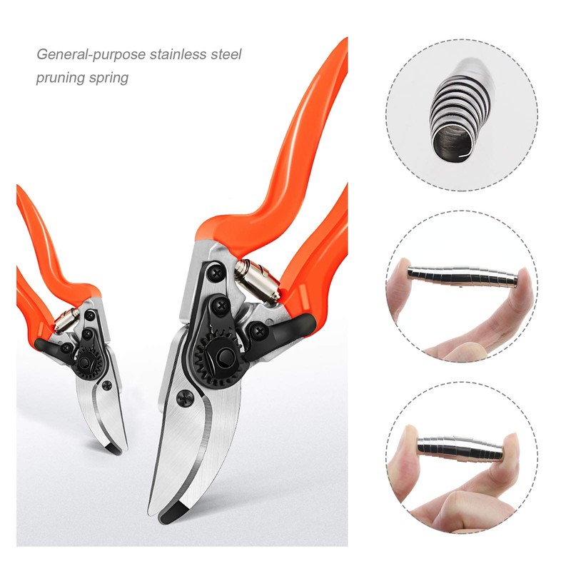 Create idea 8 Pieces Volute Pruner Springs, General Type Stainless
