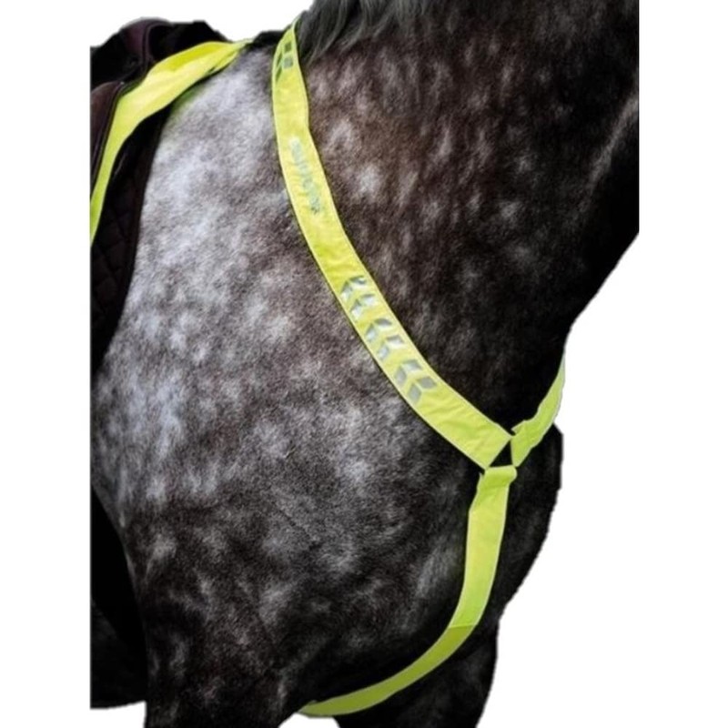 Equi-Flector Shires Horse/Pony Breastplate in Reflective Pink Pny/Cob, Pink