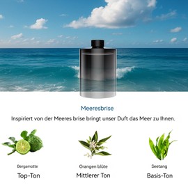 Towonshy Gilt fr BJ-792 & YB-190 & BJ 003 Auto Lufterfrischer C Aroma Diffusor Nachfllung 160?ml C Franz?sischer Duft Meeresbrise C H?lt bis zu 6 Monate C Mit Natrlichen Pflanzenextrakten
