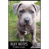 Ruff Notes - I Believe In You