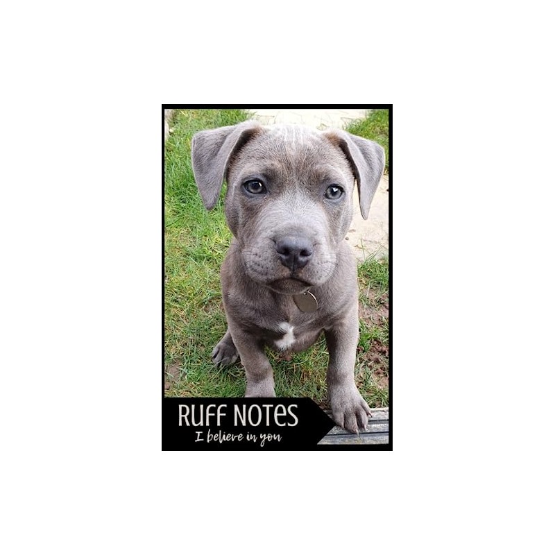 Ruff Notes - I Believe In You
