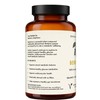 ORGANIVITS Berberine Capsules | Premium Berberis Diaphana Extract | Vegan