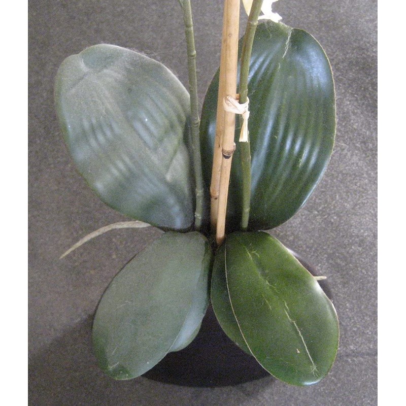 SCREEN MAGIC Silk Plant Magic Cleaner 1 Gallon Refill