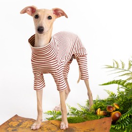 Dog Sweaters for Small Dogs Girls Boys, Striped Pet Sweaters for Fall Winter Dog Clothes, Turtleneck Pullover Knitwear for Small Medium Large Dogs